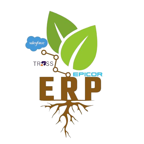 Logo ERP